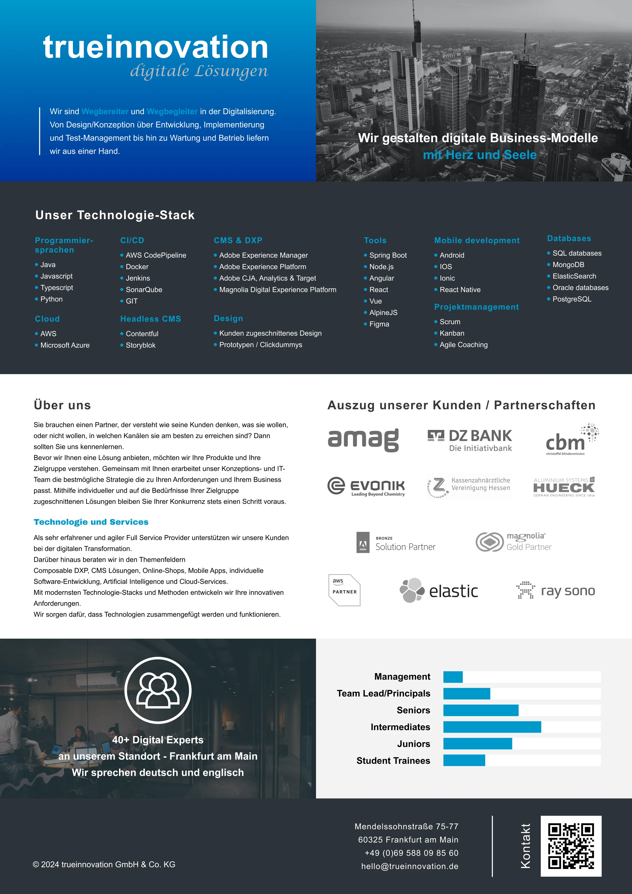 Vorschaubild für das trueinnovation Handout