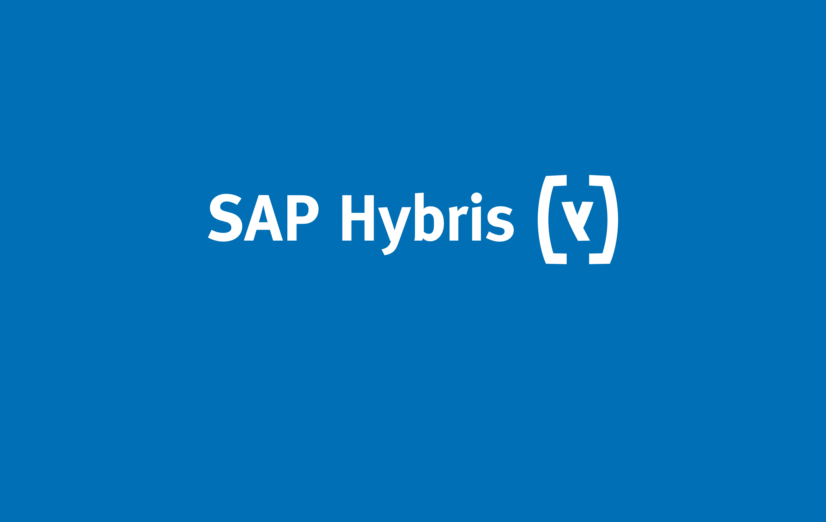 SAP Hybris Logo Partner